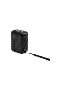 1681 portable pump